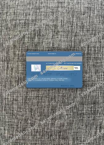 Georgia Basis Bank visa debit card photolook back